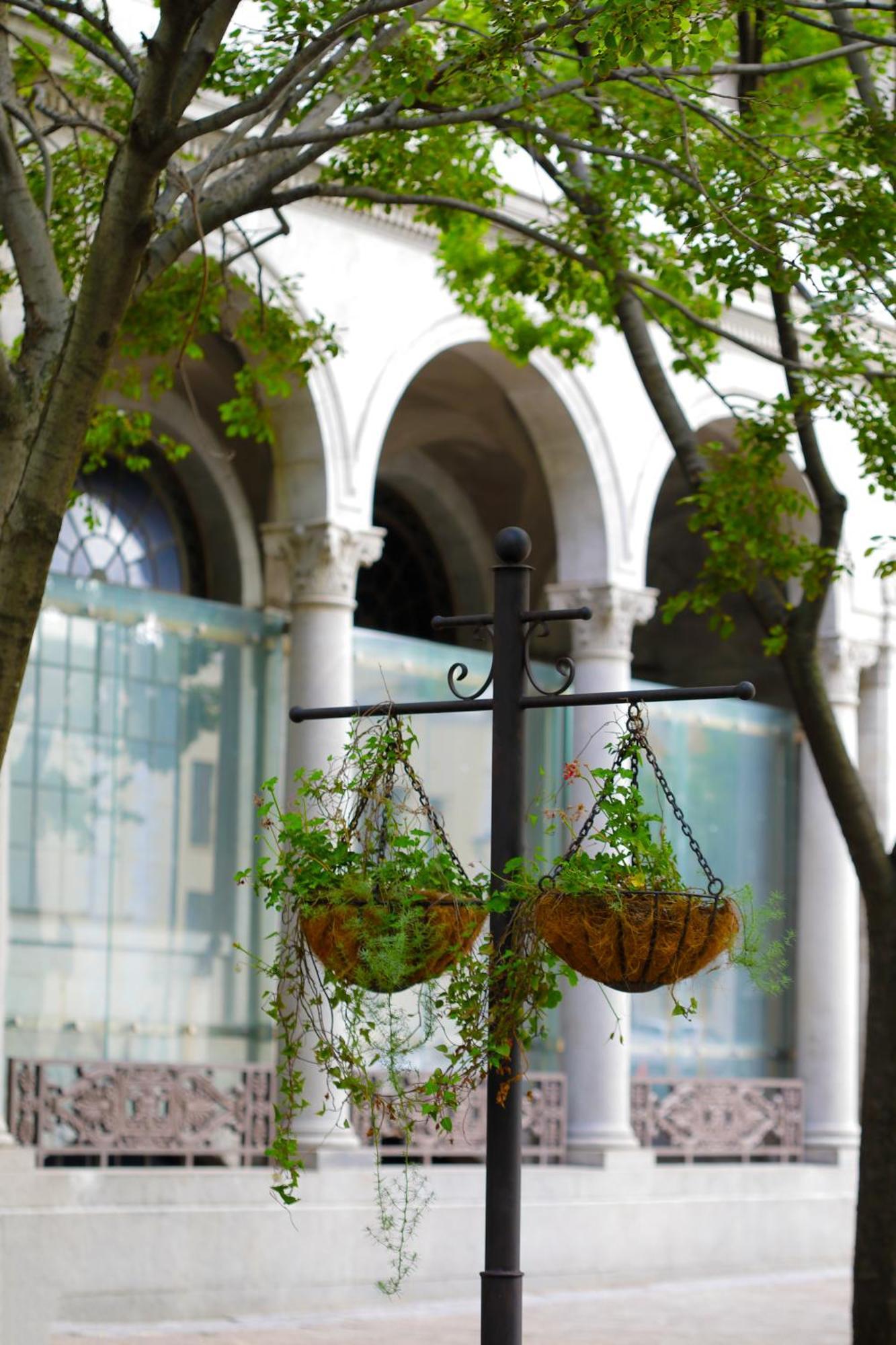 Labotessa Luxury Boutique Hotel เคปทาวน์ ภายนอก รูปภาพ